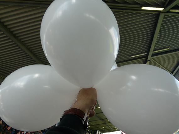 2009-05-16-11