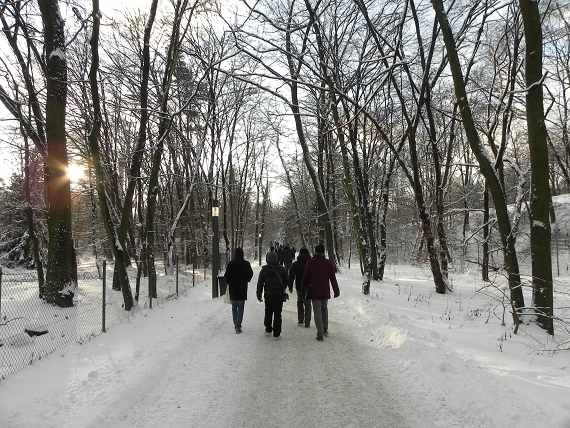 2010-12-18-04
