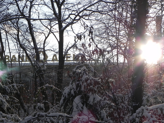 2010-12-18-05