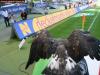 2006-08-19-SGE-Wolfsburg-12
